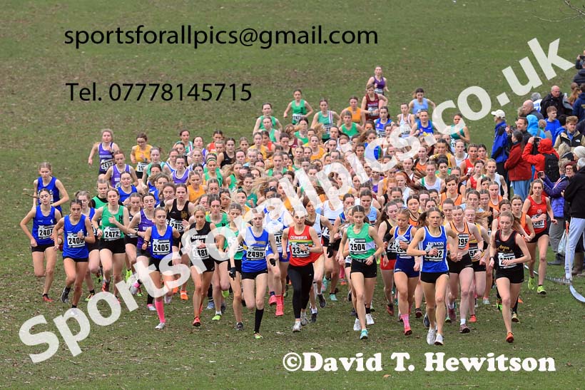 Womens Under-20s, 2024 CAU Inter Counties Cross Country Champs., Wollaton Park, Nottingham. Photo: David T. Hewitson/Sports for All Pics